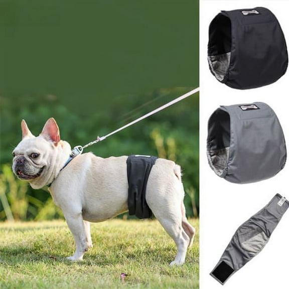 Cheers.US Pet Sanitary Pant Anti-Harassment Leak-Proof Pure Color Diapers Physiological Washable Pants Puppy Costume,Breathable, Elastic, Comfortable for pets Such as Dogs, Puppies