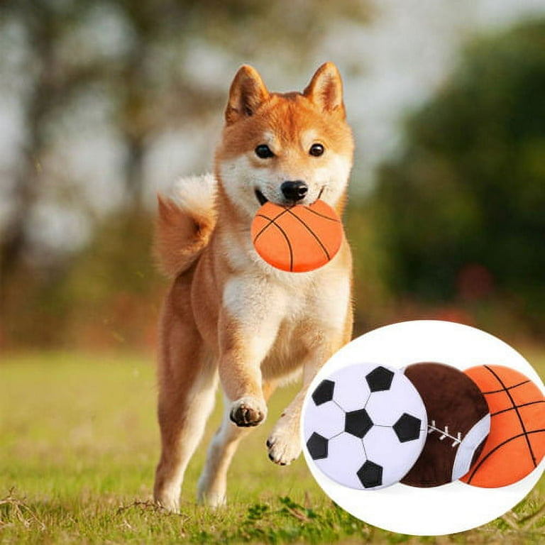 Indoor gliding squeaky dog toy cheap