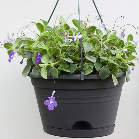 Cheers US Plastic Hanging Planter Self Watering Basket Hanging Flower Pot with Detachable Base for Garden Indoor Outdoor Home Decoration