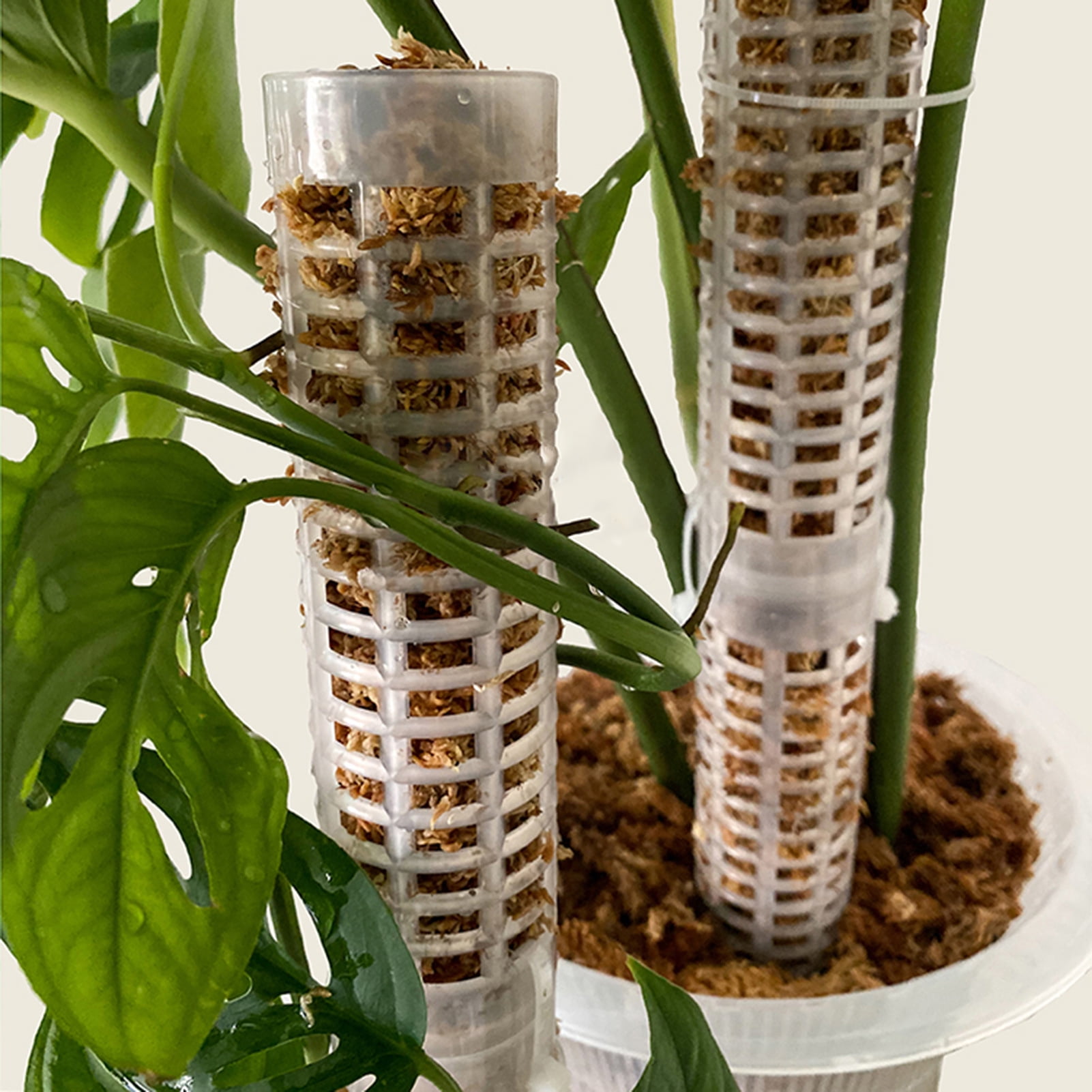 Cheers US Plastic Moss Pole for Plants Monstera, Plant Poles for Climbing  Plants, Plant Support for Indoor Plants Work with Sphagnum Moss -  Walmart.com