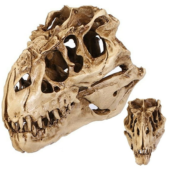 Cheers.US Resin Dinosaur Skull Fossil Teaching Skeleton Model,Resin Dinosaur Skull Model Personality Animal Skeleton Ornaments,Halloween Festival Decor, Create Atmosphere(Happy Halloween)