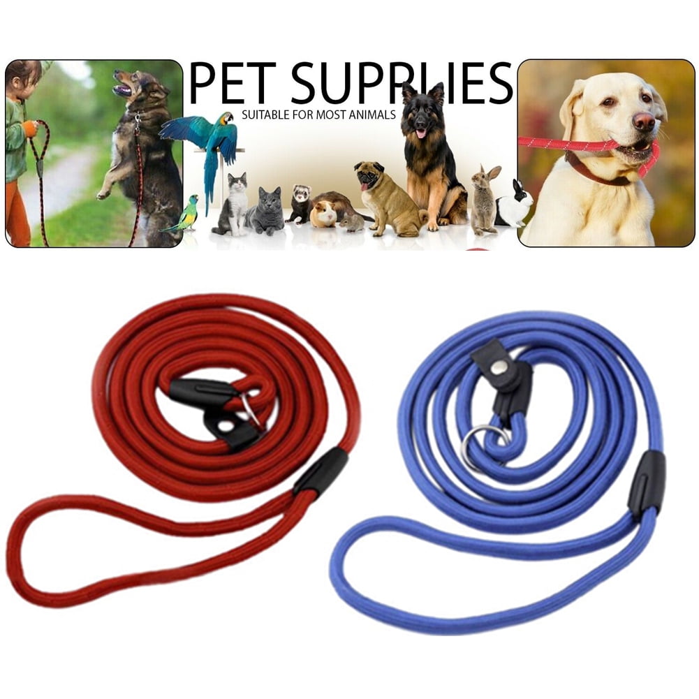Strong Nylon Slip On Rope Dog Puppy Pet Training Lead