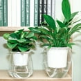 thumbnail image 1 of CheersUS 155cm x 135cm x 135cm Round Transparent Plastic Plant Pot & Planter with Self Watering, 1 of 7