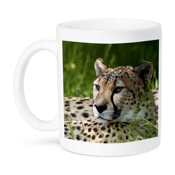 3dRose, cheetah, 15oz Mug