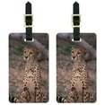 thumbnail image 1 of Cheetah African Plains Cat Luggage Tags Suitcase Carry-On ID, Set of 2, 1 of 1