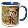 thumbnail image 1 of 3drose, Cheetah Face, Closeup, Tanzania, 15oz Two-tone Blue Mug, 1 of 6