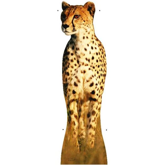 Cheetah Life-Size Cardboard Stand-Up