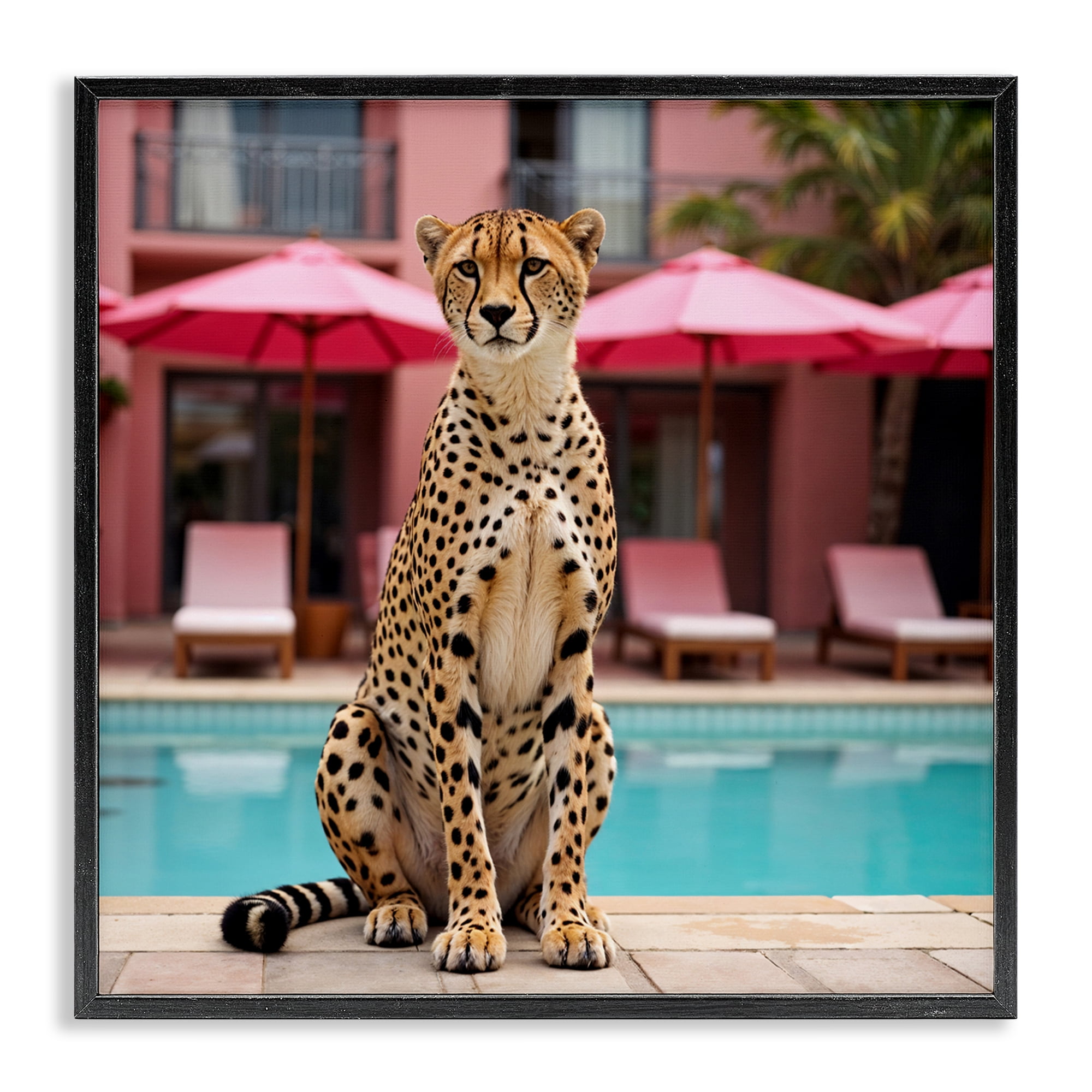 Cheetah Posed at Poolside Black Framed Giclee Art, design by Lettered and Lined