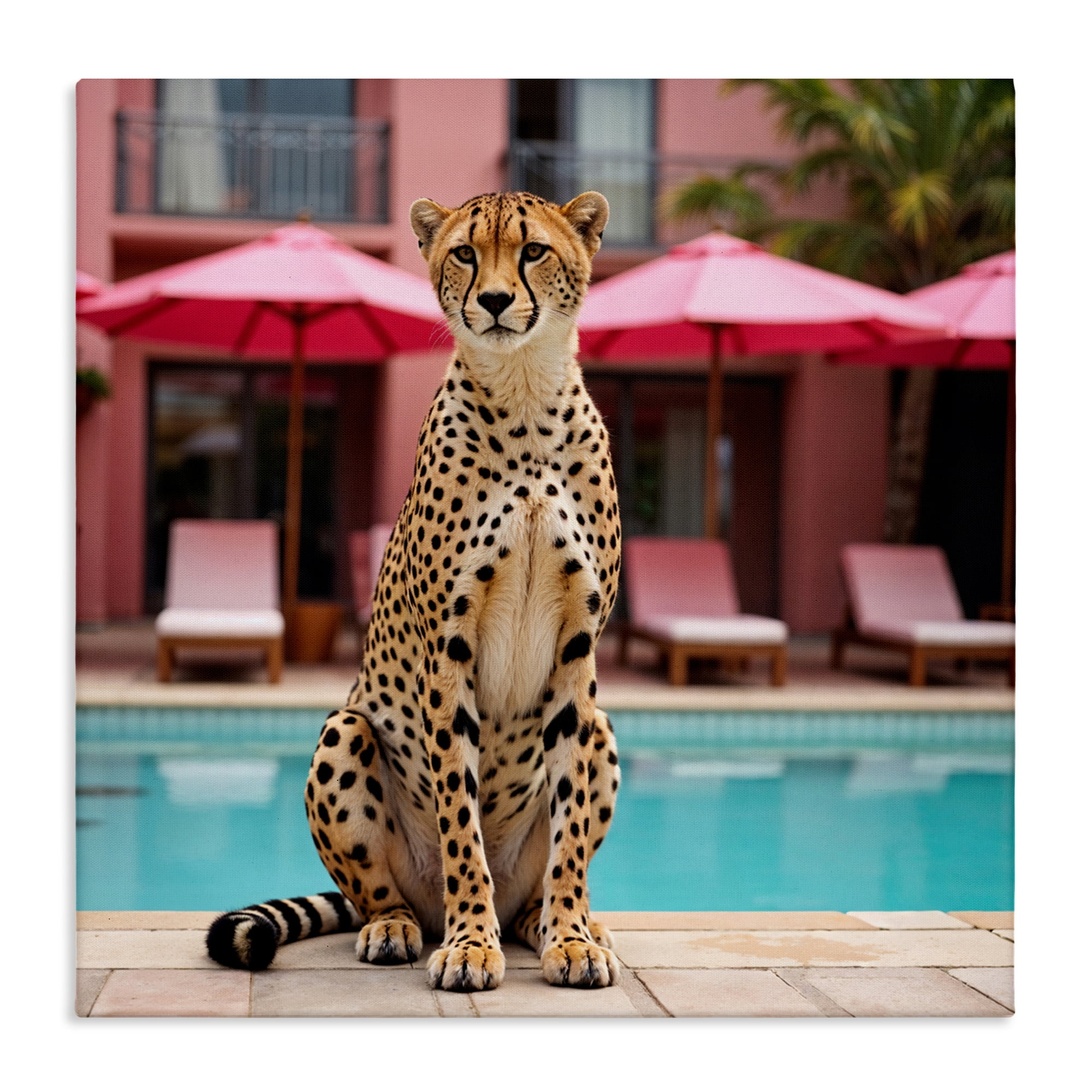 Cheetah Posed at Poolside Canvas Wall Art, design by Lettered and Lined