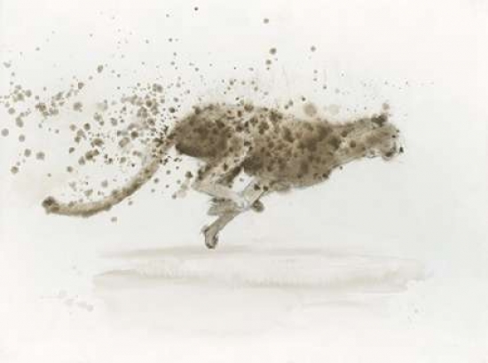 Cheetah v2 Canvas Art - James Wiens (18 x 24)