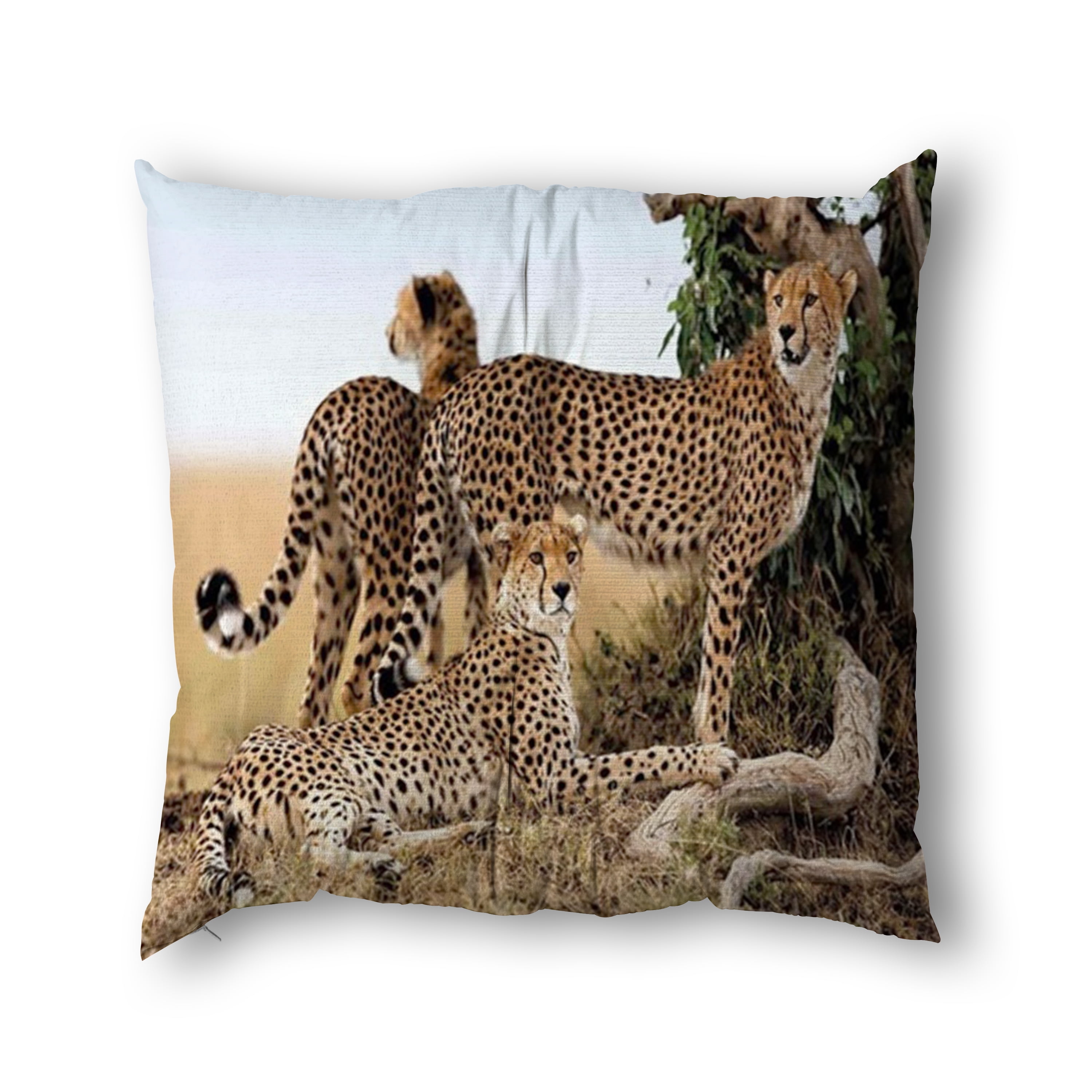Cheetahs,24x24in Decorative Throw Pillow Covers Cushion Cases,Cheetahs