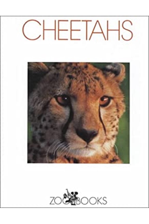 Pre-Owned Cheetahs (Hardcover) 0886824176 9780886824174