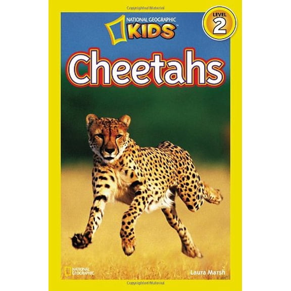 Cheetahs