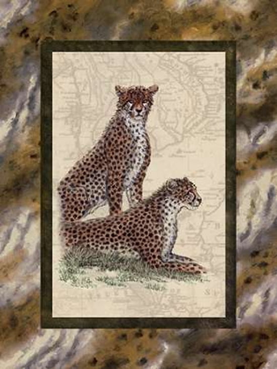 Cheetahs Canvas Art - Janet Kruskamp (18 x 24)