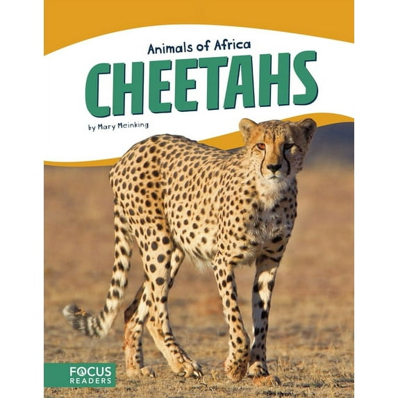Cheetahs (Paperback)