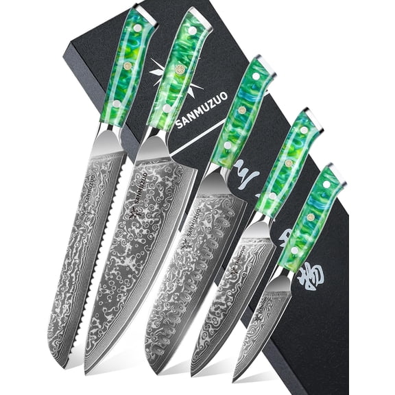 Chef Cooking Knives Set- Kitchen Knife Set of 5 Piece - Ultra-Sharp VG10 Damascus Steel & Resin Handle - Xuan Series (Jade Green)