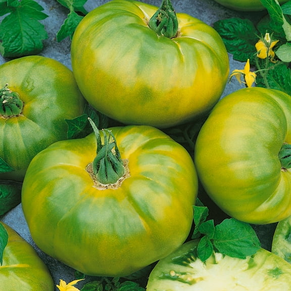 Chef's Choice Green F1 Hybrid AAS Tomato Seeds - 300 Mg Packet ~70 Seeds - Non-GMO, F1 Hybrid - Vegetable Garden - Lycopersicon esculentum