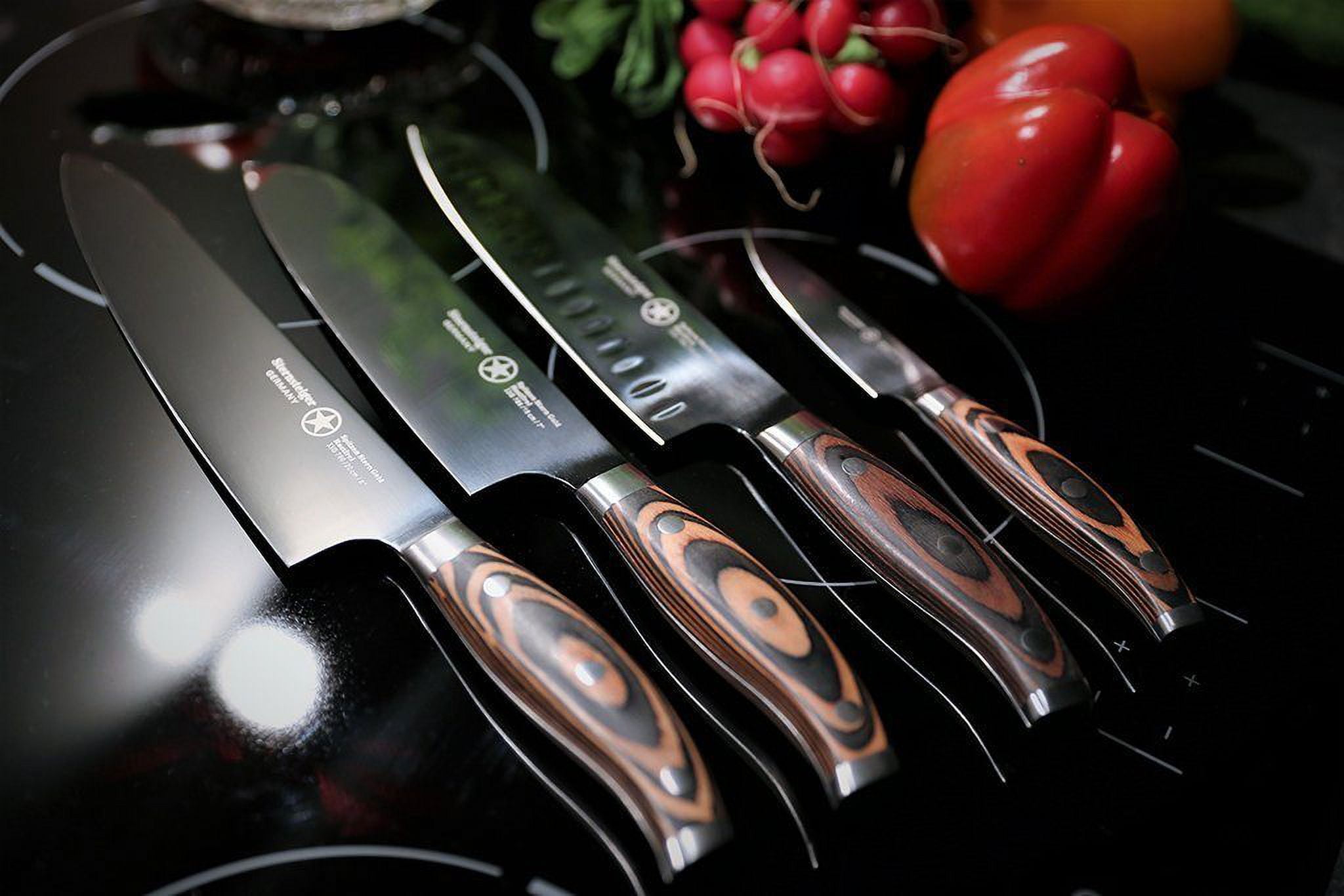 Chef's knives set of 4 | Sternsteiger - Titanium Collection