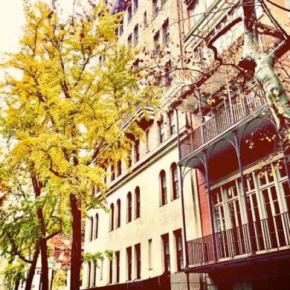 Chelsea Afternoon II Canvas Art - Juliana Acosta (24 x 24)