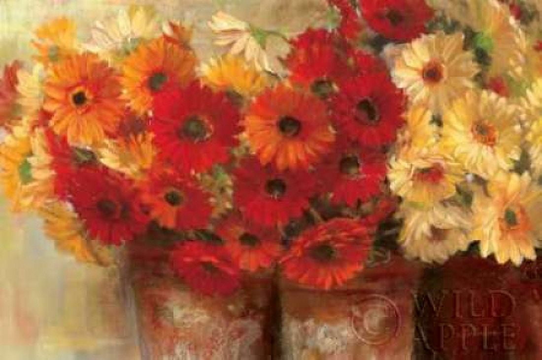 Chelsea Gerberas - Wag Canvas Art - Carol Rowan (24 x 36)