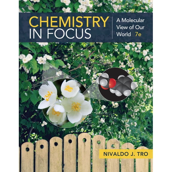 Chemistry in Focus: A Molecular View of Our World, (Paperback)