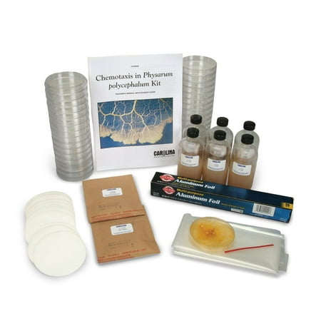 Chemotaxis In Physarum Polycephalum Kit