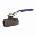 thumbnail image 1 of Chemtrol Manual 2-Way Ball Valve,NPT,Carbon Steel NL94T5D, 1 of 1