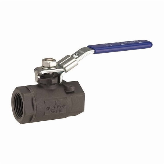 Chemtrol Manual 2-Way Ball Valve,NPT,Carbon Steel NL94T5D