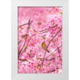 thumbnail image 1 of Chen, Liang 17x24 White Modern Wood Framed Museum Art Print Titled - cherry blossoms and bird, 1 of 4