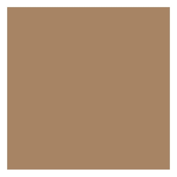 Chen xin SPECTRALOCK GROUT PART C SAND BEIGE 9LB