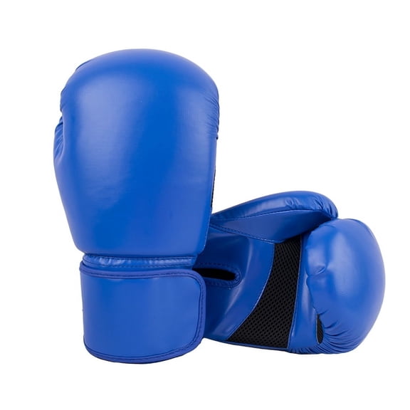 ChenHong Adult Blue 10 oz Boxing Gloves for Practice