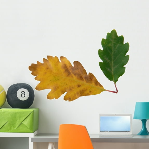 Chene Wall Decal by Wallmonkeys Peel and Stick Graphic (36 in W x 26 in H) WM274554
