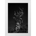 thumbnail image 1 of Chenglu, Simon 23x32 White Modern Wood Framed Museum Art Print Titled - Grand-Grand-Grand-Pas Tree, 1 of 4