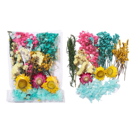 Chenweizhi 3 Sets Blue Dried Flower DIY Kit, Natural Dry Flower Pack for Photo Frame Stickers & Floating Art Craft, 5.526.3 Inches Handmade DIY Decoration Making Supplie