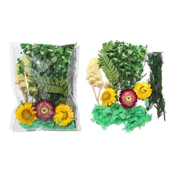 Chenweizhi 3 Sets gren Dried Flower DIY Kit, Natural Dry Flower Pack for Photo Frame Stickers & Floating Art Craft, Handmade DIY Decoration Making Supplie 5.526.3 Inches