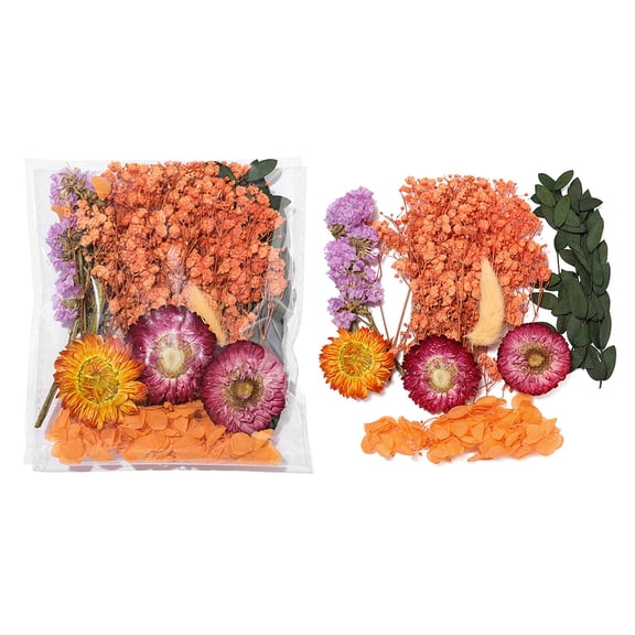 Chenweizhi 3 Sets orange Dried Flower DIY Kit, Natural Dry Flower Pack for Photo Frame Stickers & Floating Art Craft, Handmade DIY Decoration Making Supplie 5.526.3 Inches