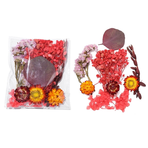 Chenweizhi 3 Sets red Dried Flower DIY Kit, Natural Dry Flower Pack for Photo Frame Stickers & Floating Art Craft, 5.526.3 Inches Handmade DIY Decoration Making Supplie