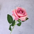 thumbnail image 1 of ChenyGod 1Pc Roses Artificial Flowers, Realistic Long Stem Fake Silk Roses for DIY Wedding Bouquet Centerpieces Floral Arrangements Party Anniversary Valentines Day Decorations, 21.7", Hot Pink, 1 of 9