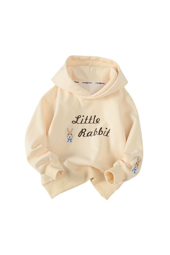 Baby Kids Spring Sweatshirts for Boys Girls Casual Long Sleeve Hoodie Fall Winter Pullover Sweatsuit Tops Clothes for Toddler Teen 3-14T