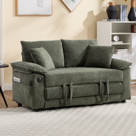 ChenyueFurn Pull Out Sofa Bed, 58 Inch Chenille Couch with USB, Pockets & Pillows for Home,Green