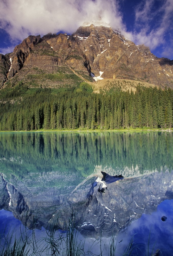 Chephren Lake And Mt Chephren Banff National Park Alberta Canvas Art - Darwin Wiggett Design Pics (22 x 32)