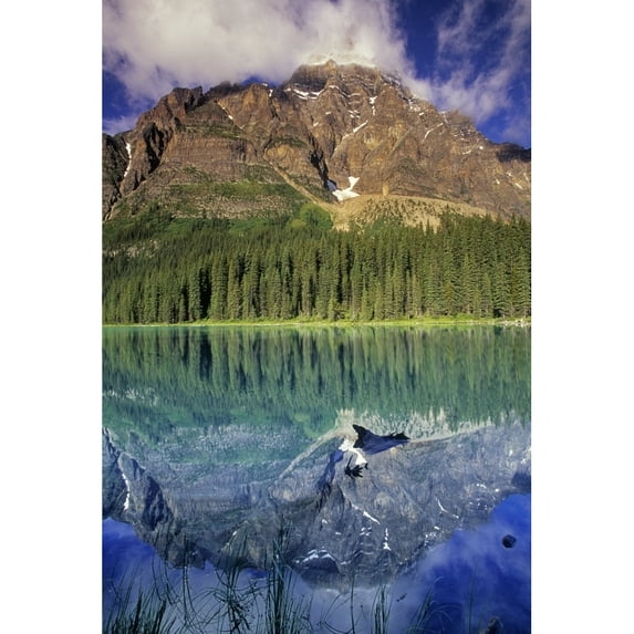 Chephren Lake And Mt. Chephren, Banff National Park, Alberta. Poster Print (11 x 16)