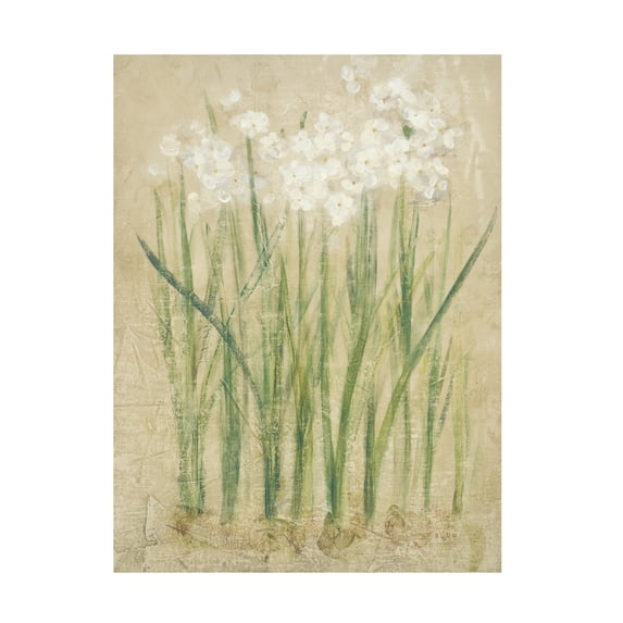 Cheri Blum 'Narcissus Cool' Canvas Art