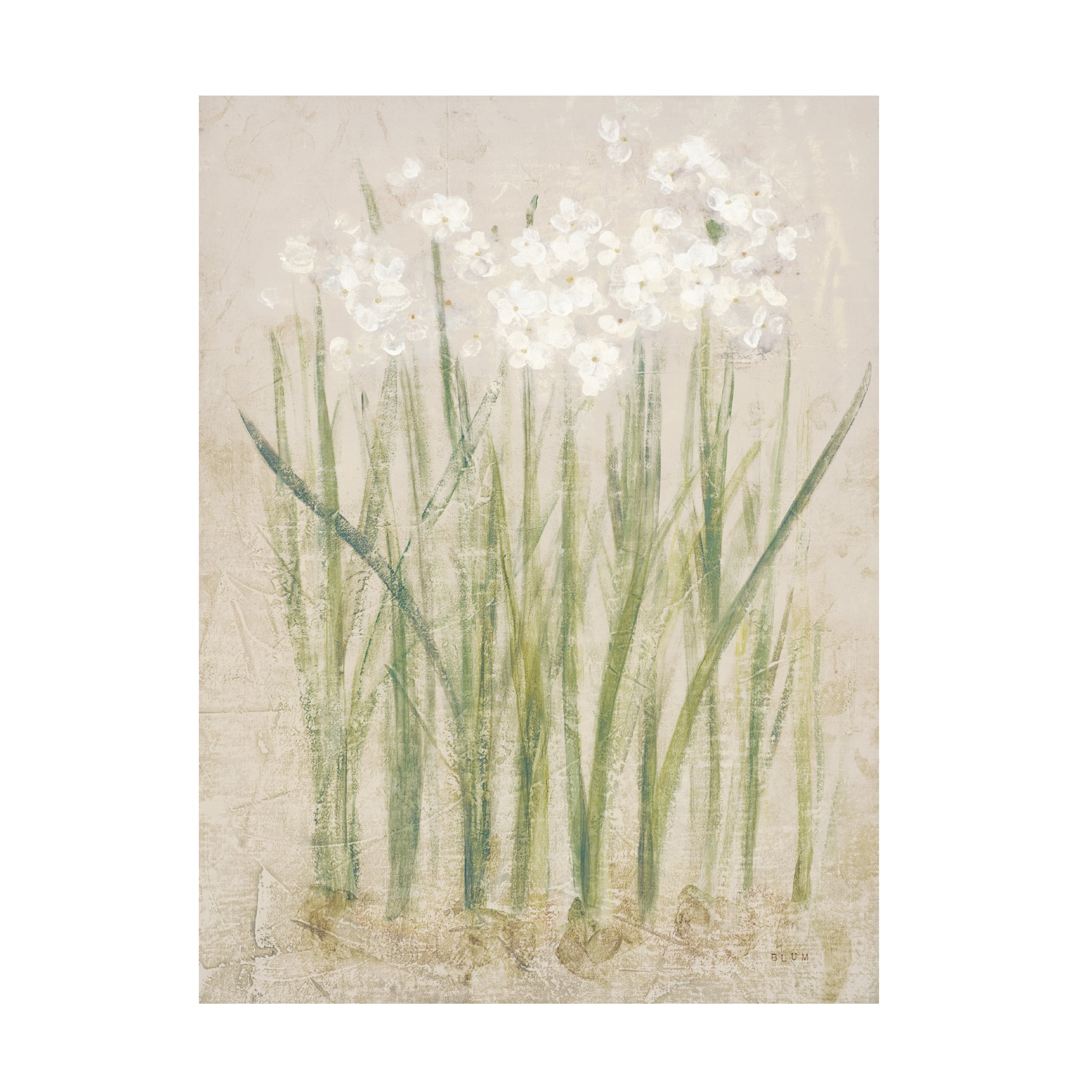 Cheri Blum 'Narcissus Light' Canvas Art