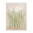 thumbnail image 1 of Cheri Blum 'Narcissus Light' Canvas Art, 1 of 4