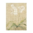 thumbnail image 1 of Cheri Blum 'Orchid Cool' Canvas Art, 1 of 3