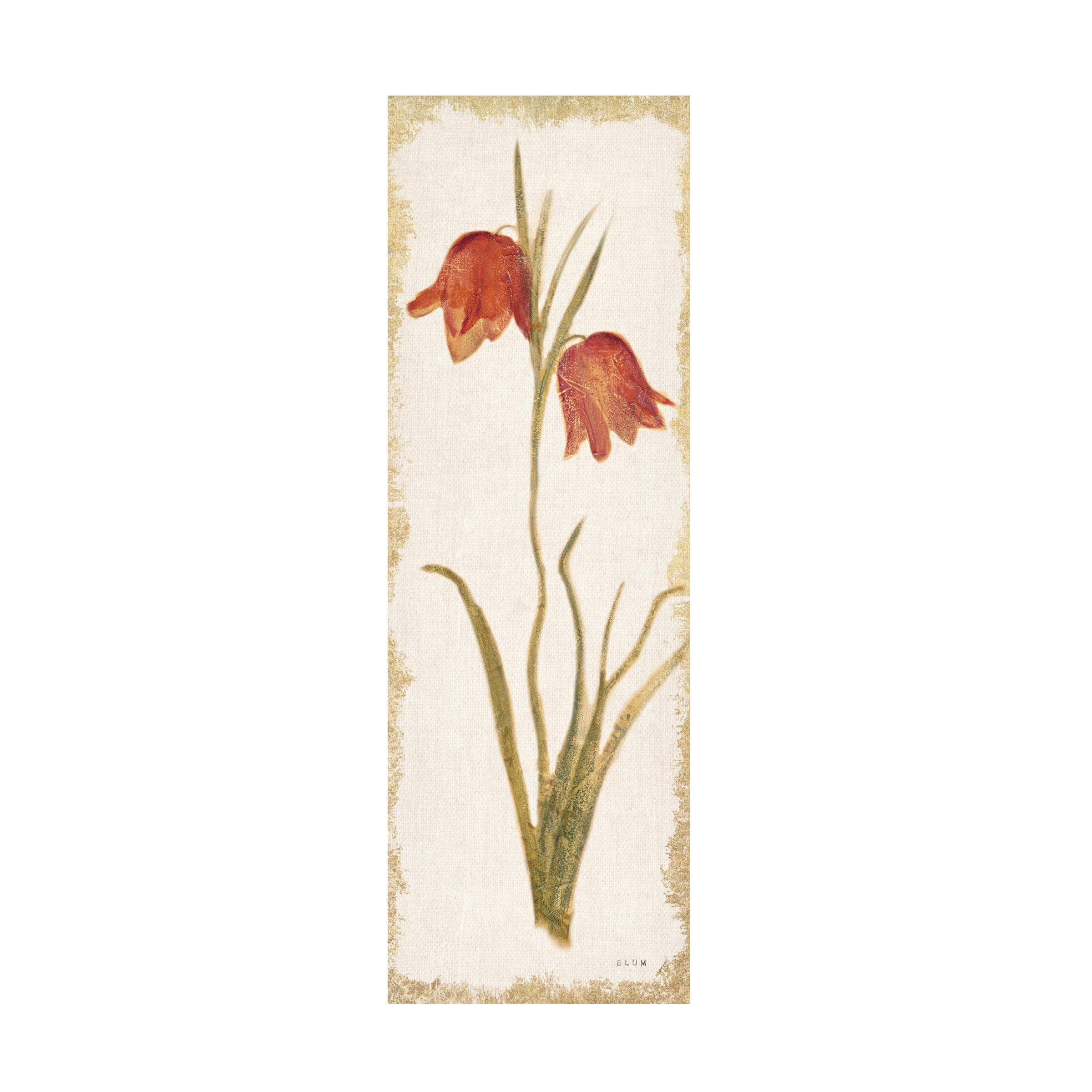 Red Tulip Panel Light Canvas Art with Wooden Frame