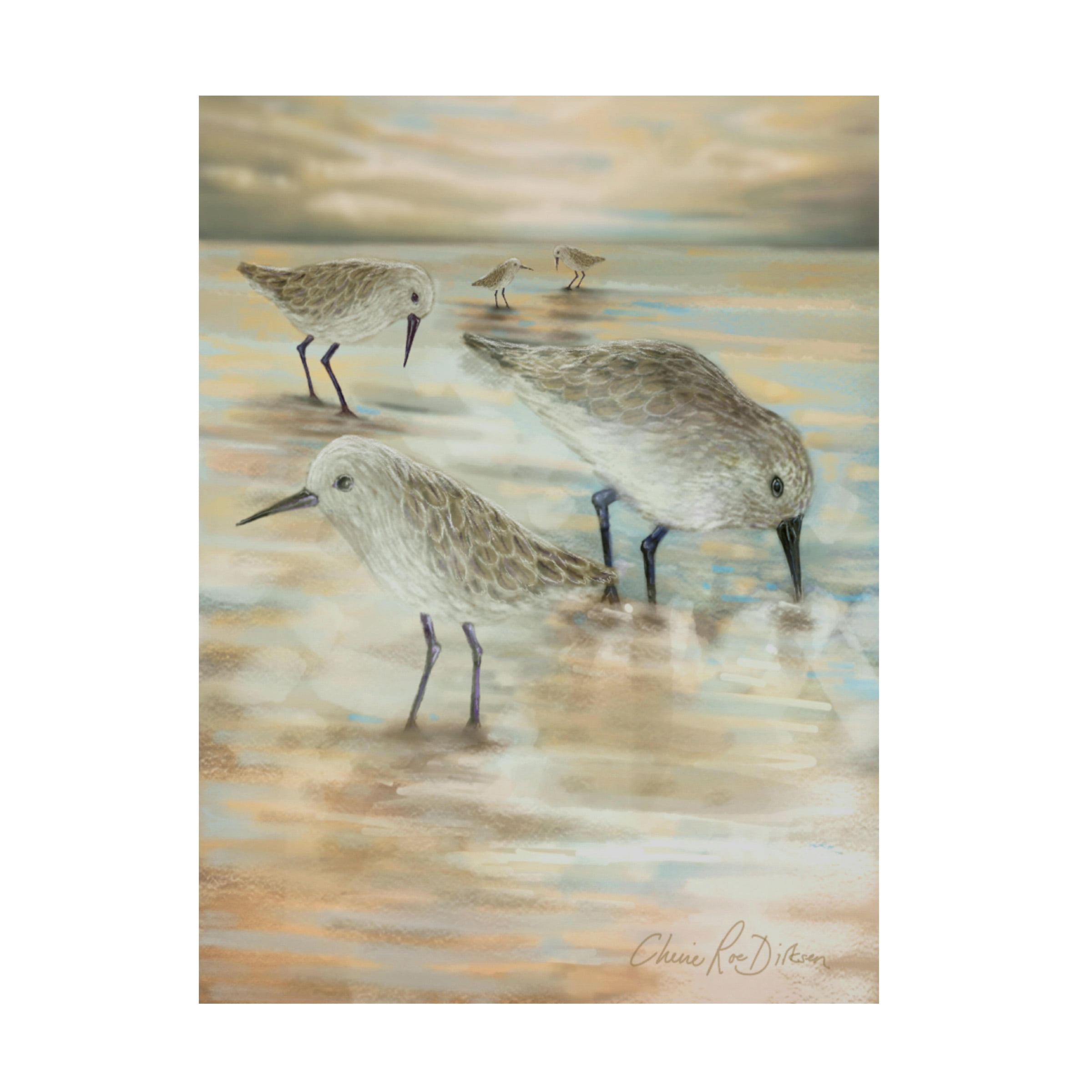 Cherie Roe Dirksen 'Sandpipers' Canvas Art