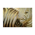 thumbnail image 1 of Cherie Roe Dirksen 'Zebra Codex' Canvas Art, 1 of 3