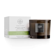 Cherimoya Candle 5 oz